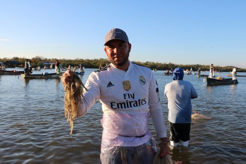 Esta semana comenzará la dispersión del recurso para Inspección y Vigilancia en