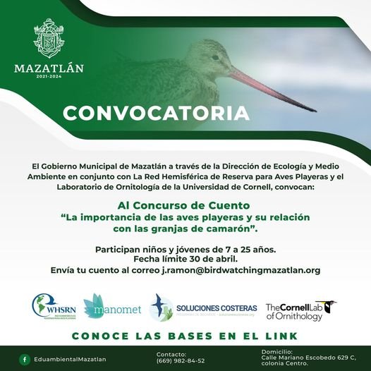 *Participa en el concurso de cuento sobre la importancia de las aves playeras* *Participa en el concurso de cuento sobre la importancia de las aves playeras*