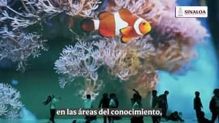 EN SINALOA LA EDUCACIÓN, LA CIENCIA Y LA CULTURA SON PILARES DEL DESARROLLO DE N