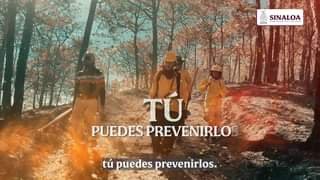 APAGA EL RIESGO, EVITA UN INCENDIO