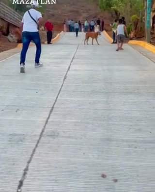 Alcalde Edgar González desde la Colonia Díaz Ordaz.