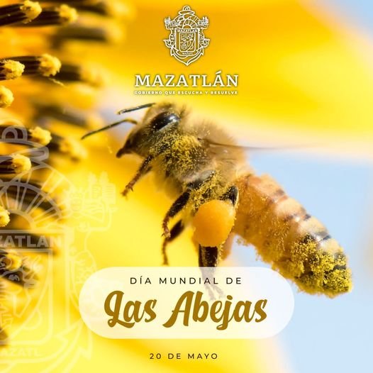 *Ecología y C.B.T.A conmemoran el Día Mundial de la Abeja*