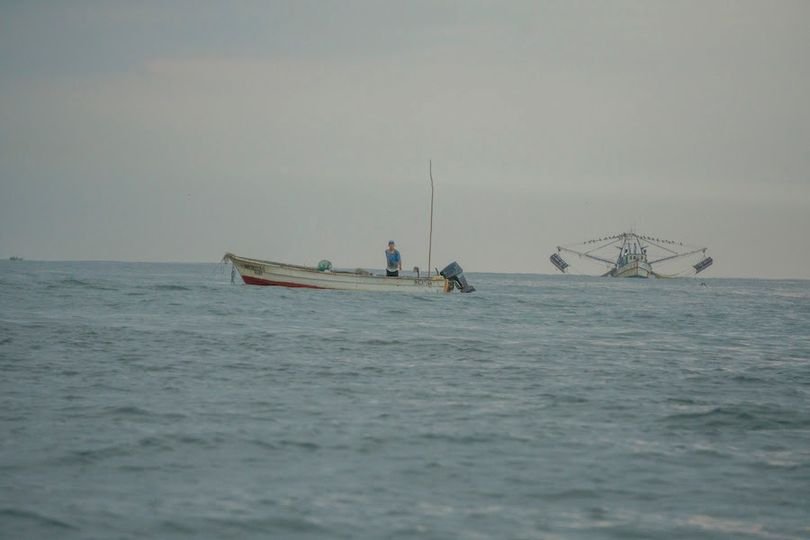 Embargo comercial de pescados y mariscos, ineficiente en el combate a la pesca i