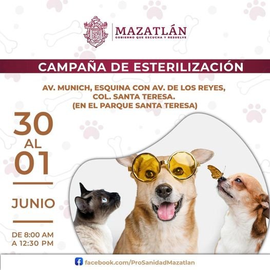 *Gobierno de Mazatlán reactiva servicio gratuito del camión esterilizador*