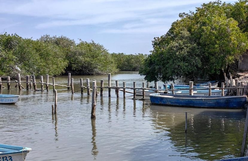 Pescadores piden apoyo para el dragado de estero
