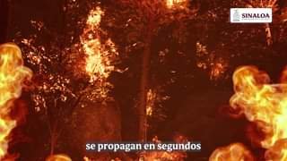 APAGA EL RIESGO, EVITA EL INCENDIO