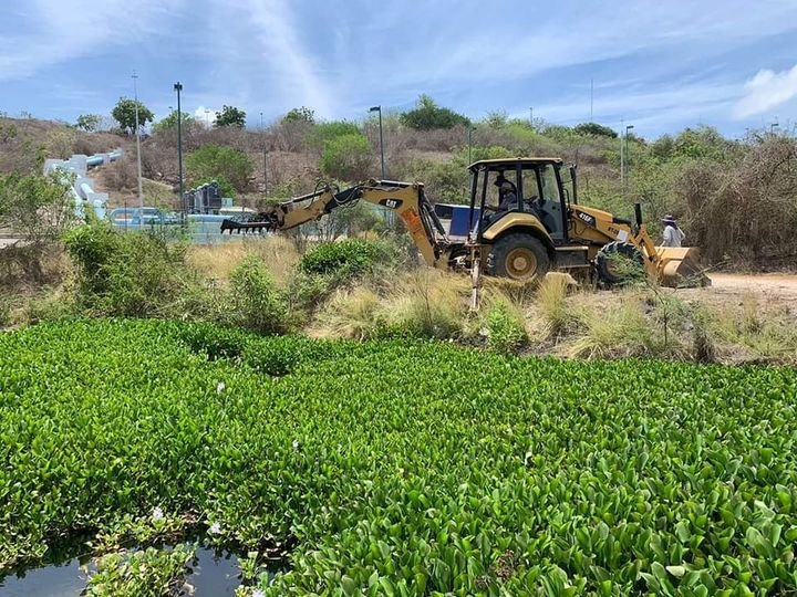 JUMAPAM retira el lirio del canal de arribo de  Los Horcones.