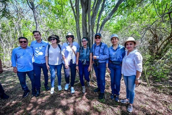 GOBIERNO DE MAZATLÁN GOBIERNO DE MAZATLÁN