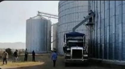 NO HAN PAGADO MAÍZ ENTREGADO DESDE MAYO POR PRODUCTORES DE AHOME. NO HAN PAGADO MAÍZ ENTREGADO DESDE MAYO POR PRODUCTORES DE AHOME.