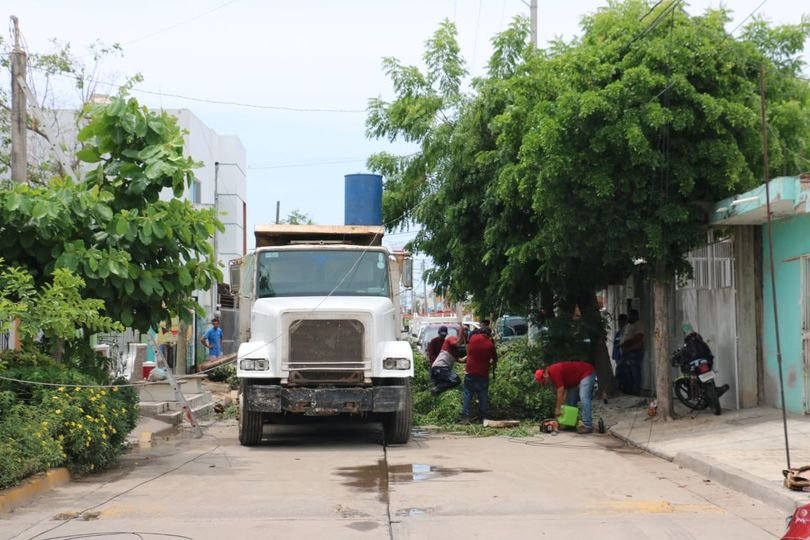 *Parques y jardines realizó intenso trabajo durante el fin de semana luego de la *Parques y jardines realizó intenso trabajo durante el fin de semana luego de la
