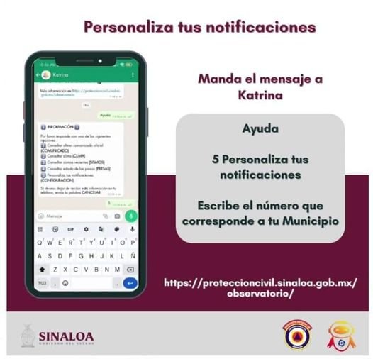 Personaliza tus notificaciones Configura las notificaciones para que te manteng Personaliza tus notificaciones Configura las notificaciones para que te manteng