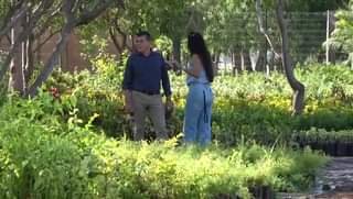 Visita alcalde vivero municipal.