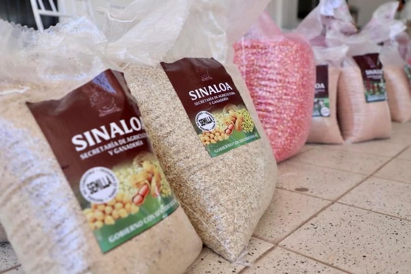 Ampliarán el programa de entrega de semillas para establecimiento de praderas