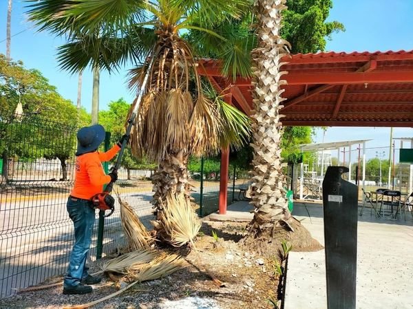 *Centro de Barrio El Tamarindo continúa renovando sus espacios* *Centro de Barrio El Tamarindo continúa renovando sus espacios*