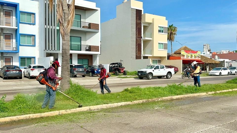*Dan “manita de gato” a camellones y áreas verdes de Real Del Valle.*
