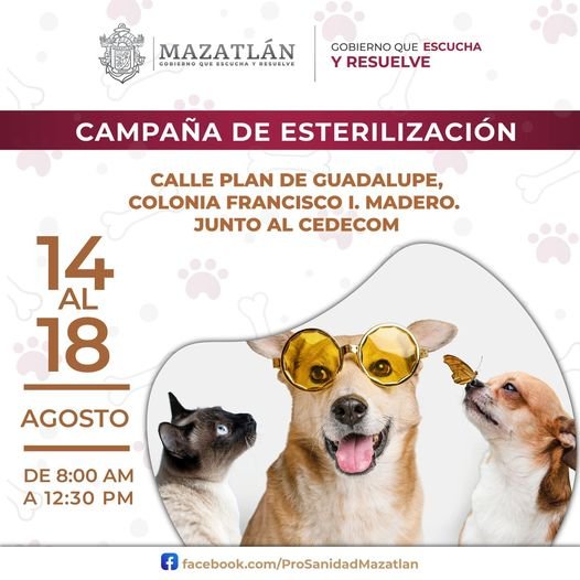 *Esterilizaciones gratuitas en la Colonia Francisco I. Madero* *Esterilizaciones gratuitas en la Colonia Francisco I. Madero*
