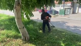 Limpieza en camellón Canseco y atlantico, siembra de plantas.