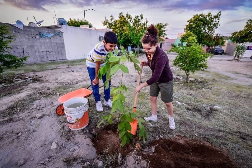 *Se plantan 70 árboles en el Fraccionamiento Pradera Dorada.* *Se plantan 70 árboles en el Fraccionamiento Pradera Dorada.*