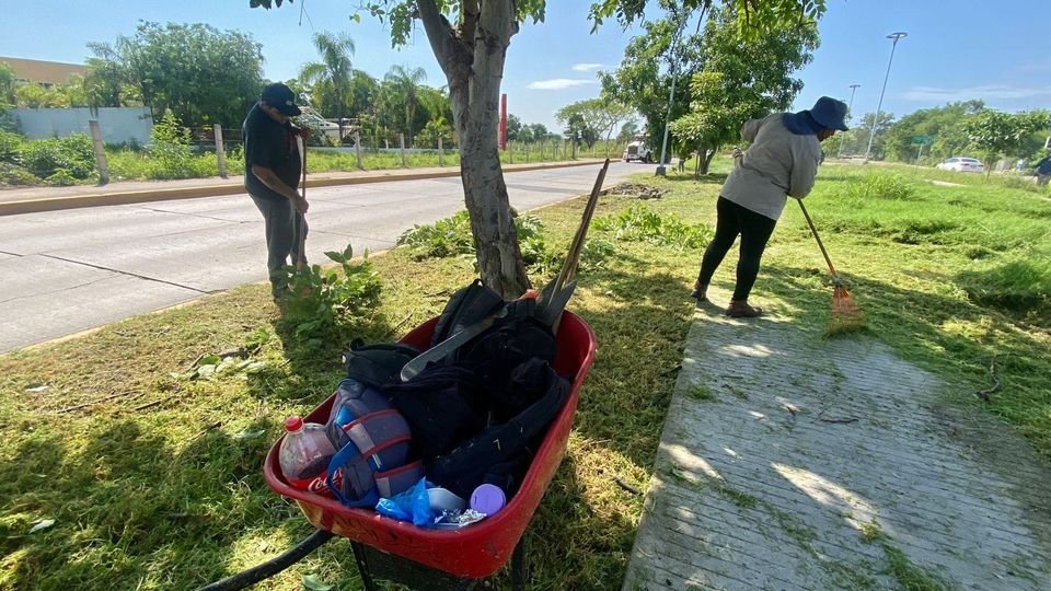 *Servicios públicos realiza intensa jornada de embellecimiento y limpieza Avenid