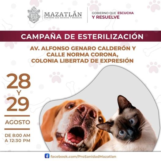 *Supera Gobierno Municipal las 2 mil esterilizaciones*