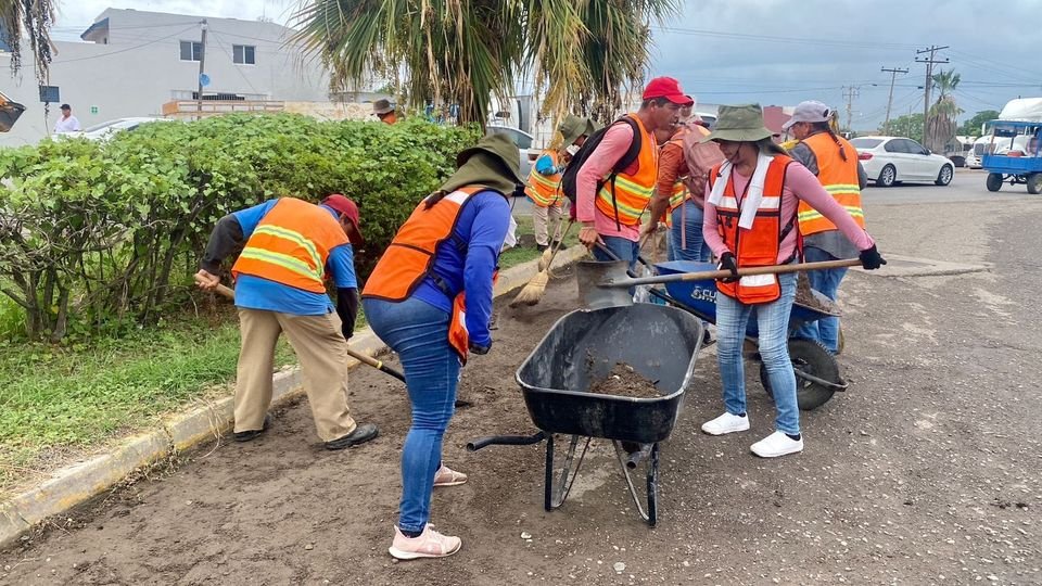 *Aseo Urbano realiza intensa jornada de limpieza en los accesos de Mazatlán.* *Aseo Urbano realiza intensa jornada de limpieza en los accesos de Mazatlán.*