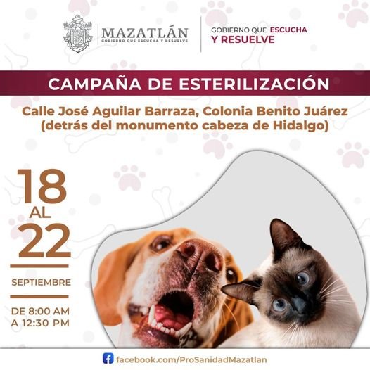 *El camión de esterilizaciones gratuitas estará en la Juárez.* *El camión de esterilizaciones gratuitas estará en la Juárez.*