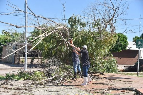 Avanza exitosamente intensa jornada de limpieza en el municipio de Ahome.. Avanza exitosamente intensa jornada de limpieza en el municipio de Ahome..