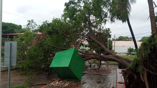 Culiacán, Sin. 22/10/2023.- Apoya el Ayuntamiento de Culiacán en tareas de Prote