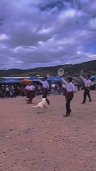 QUE BIEN BAILA EL FIRULAIS..LÁSTIMA QUE ESOS QUE SE METIERON NO LO DEJEN MOVERSE