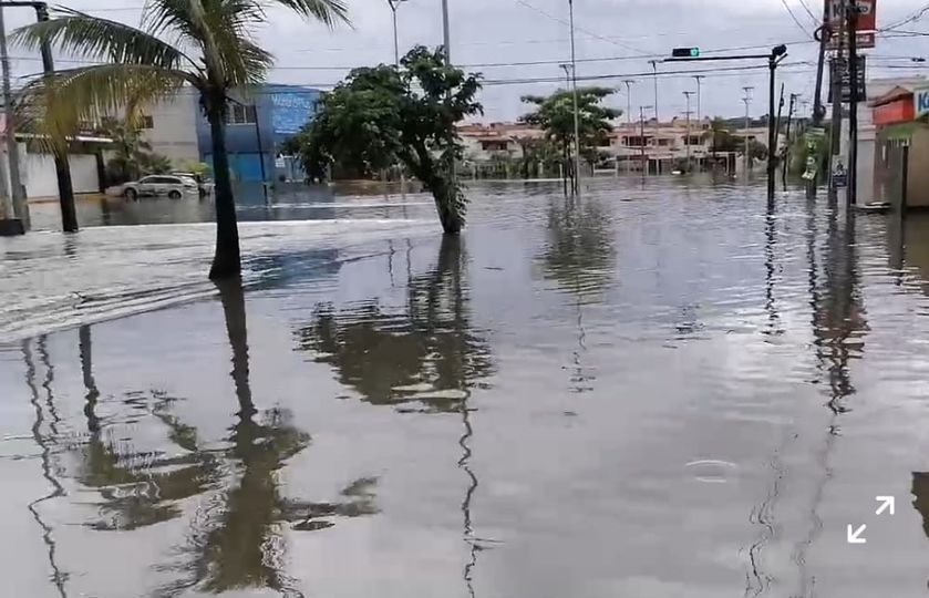 Se supende el servicio de transporte público en Mazatlan Se supende el servicio de transporte público en Mazatlan