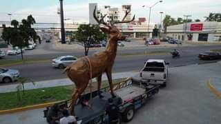 Venado en malecón.