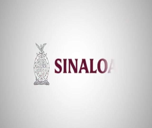 EN ESTAS FIESTAS CELEBRA SIN USAR PIROTECNIA: GOBIERNO DE SINALOA.