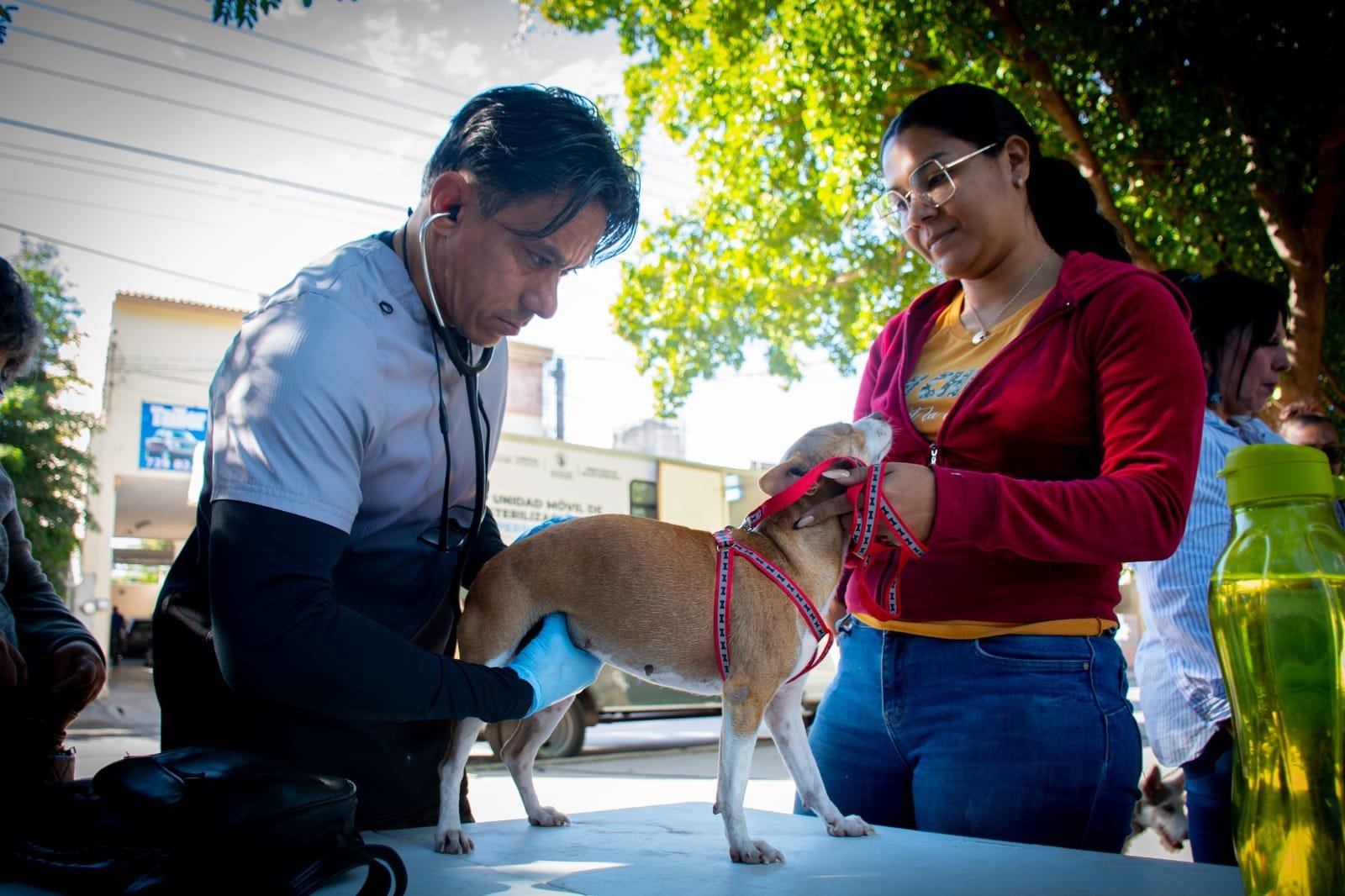 *Campaña de Esterilización beneficia a mascotas del sector Lombardo Toledano*
