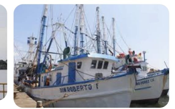 PESCADORES TENDRÁN TRISTE NAVIDAD. PESCADORES TENDRÁN TRISTE NAVIDAD.