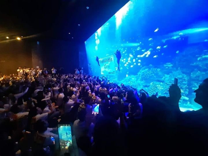 Alrededor de 700 convencionistas descubren la vida marina en el Gran Acuario Maz Alrededor de 700 convencionistas descubren la vida marina en el Gran Acuario Maz