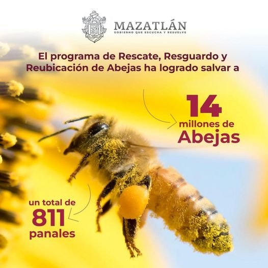 *Avanza Gobierno de Mazatlán en temas importantes para el medio ambiente.*