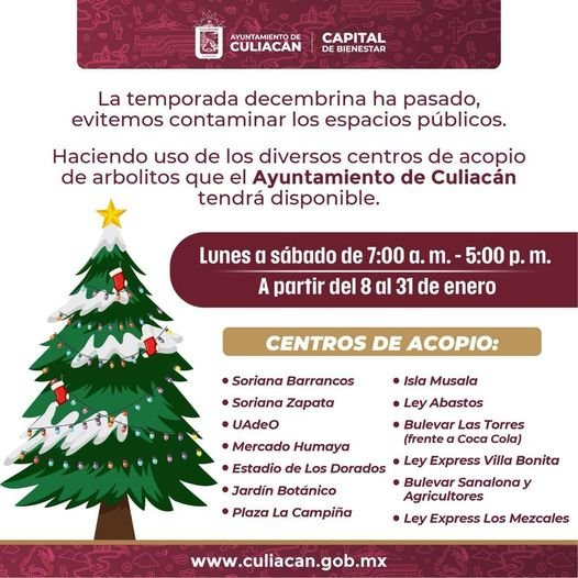 *Ayuntamiento invita a deshacerse responsablemente de los Árboles Navideños*