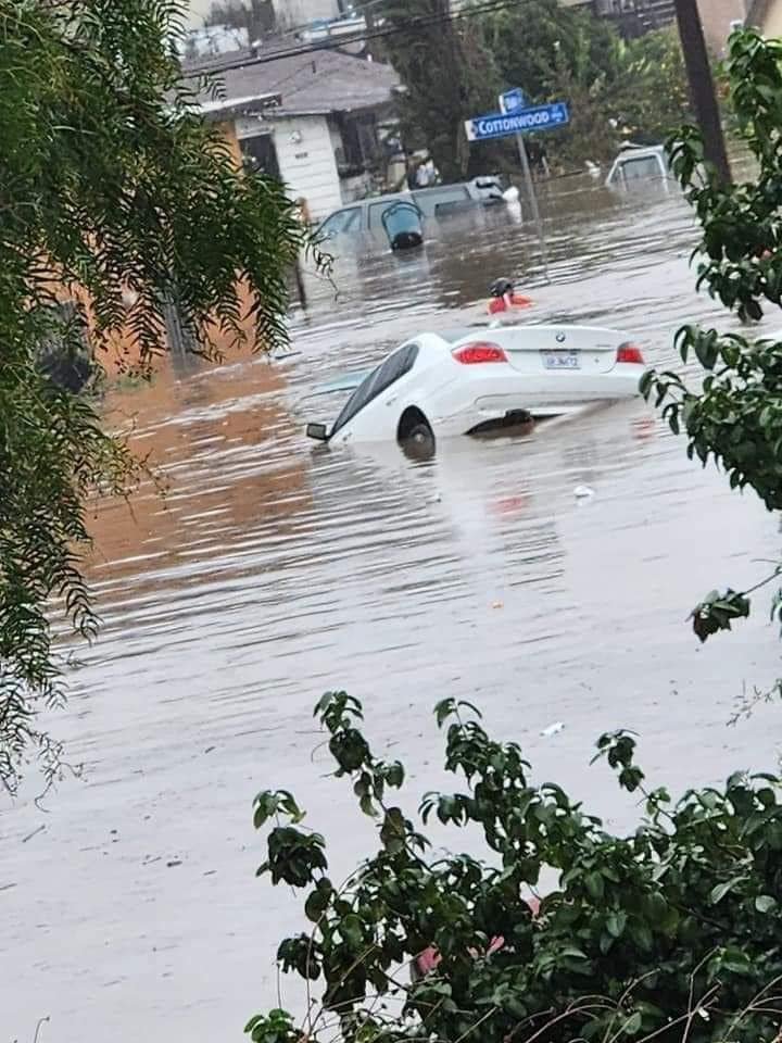 Mientras tanto en Tijuana! Mientras tanto en Tijuana!