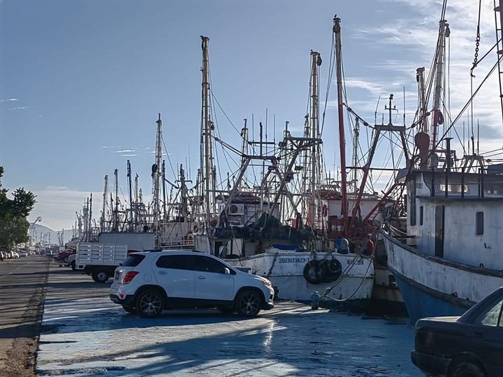 Para evitar que el muelle pesquero del Parque Bonfil se convierta en un cementer Para evitar que el muelle pesquero del Parque Bonfil se convierta en un cementer