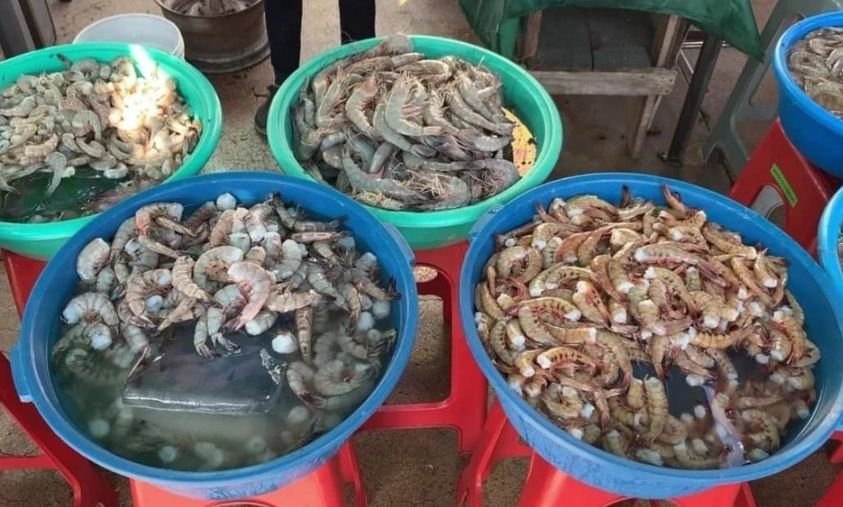 Esperan «changueras» incremento del 60 en las ventas de camarón  por Carnaval