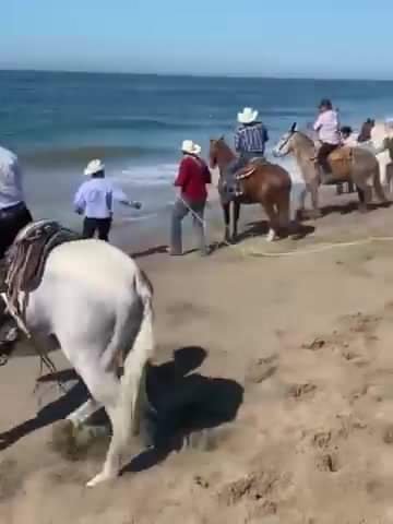 Jinetes se desviaron de una cabalgata y se fueron al mar, estás con las consecue