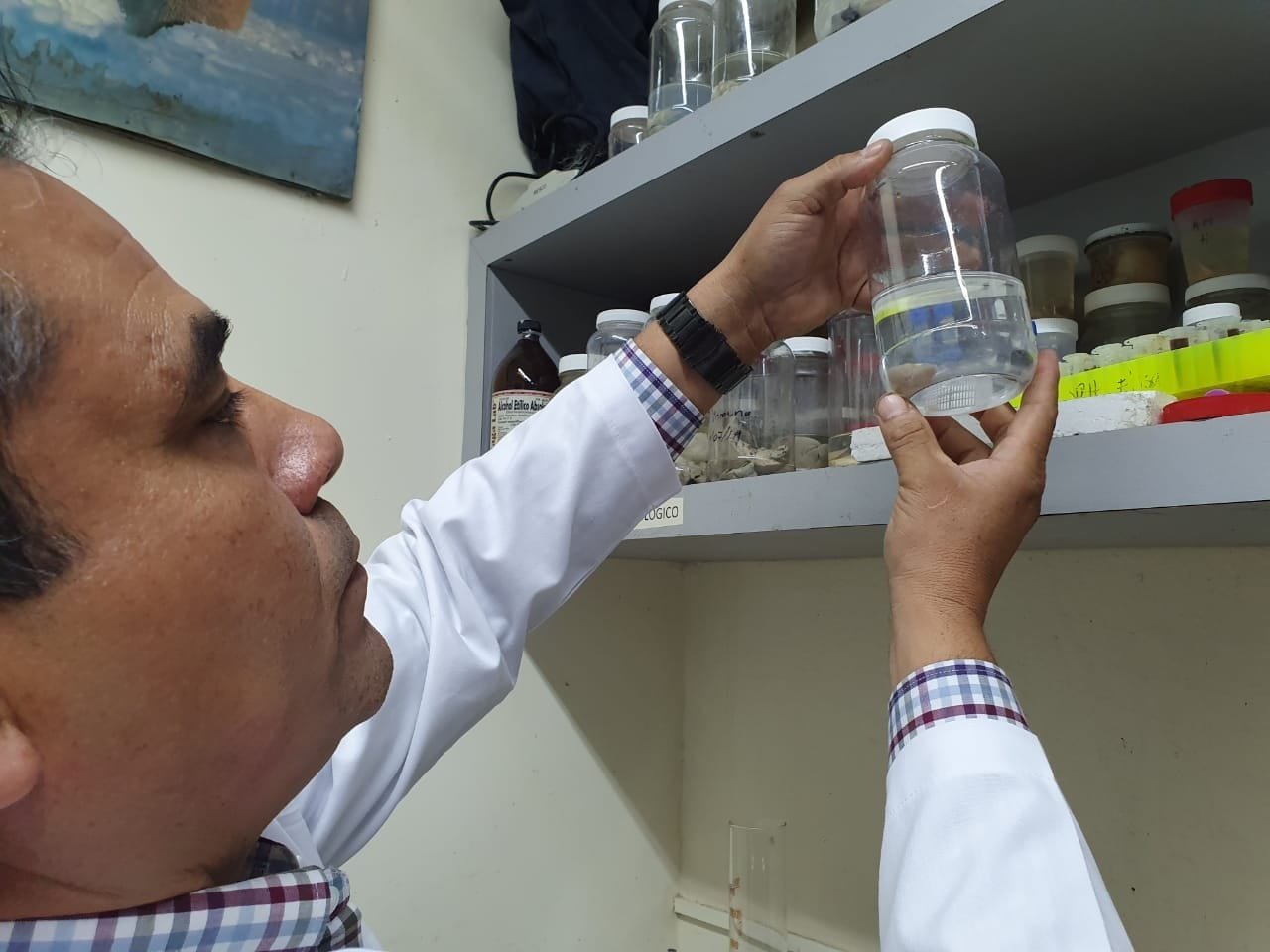 Cuerpo Académico de Vida Silvestre y Biología Molecular de la Nueva Universidad