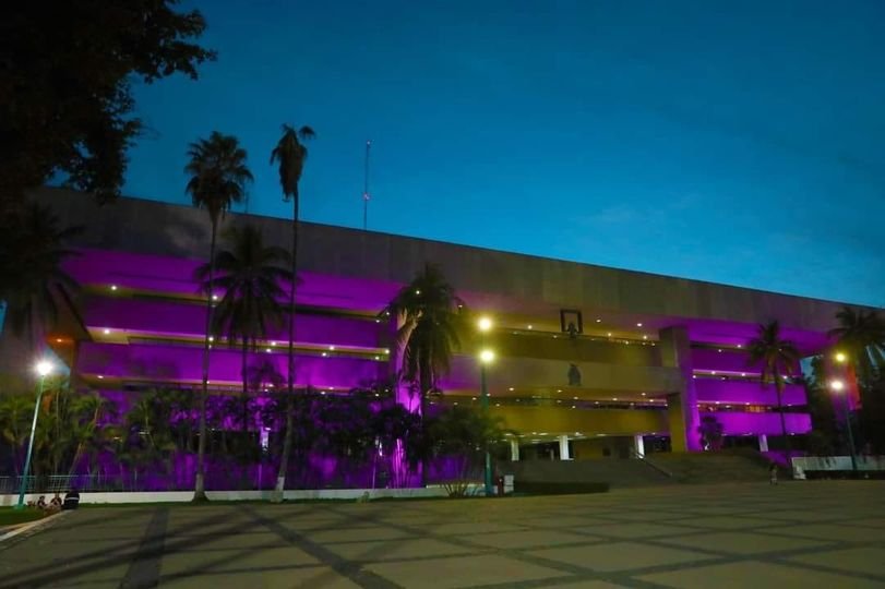 Iluminan de morado Palacio de Gobierno de #Sinaloa por el Día Internacional de l
