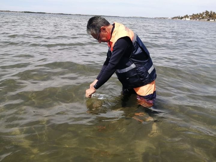 Playas de Sinaloa son aptas para uso recreativo: COEPRISS