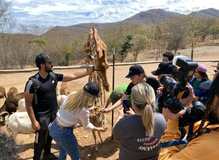 Rescata Ostok Sanctuary a mil 800 animales silvestres en tres años