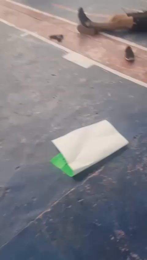 Alfredo Cabrera, candidato del PRI-PAN-PRD a la alcaldía de Coyuca de Benítez, e