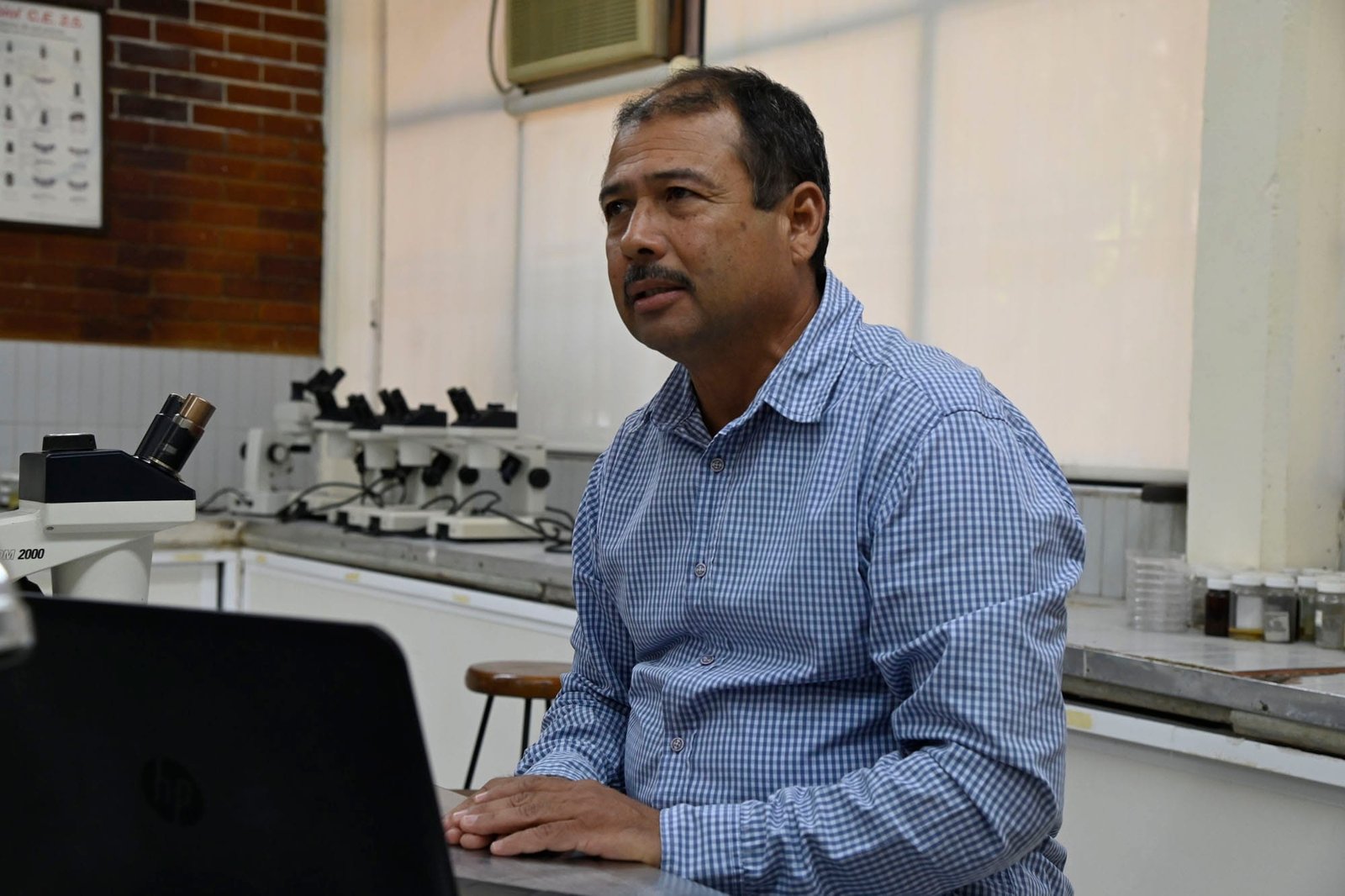 El 71% de los cultivos son polinizados por las abejas, de ahí la importancia de El 71% de los cultivos son polinizados por las abejas, de ahí la importancia de