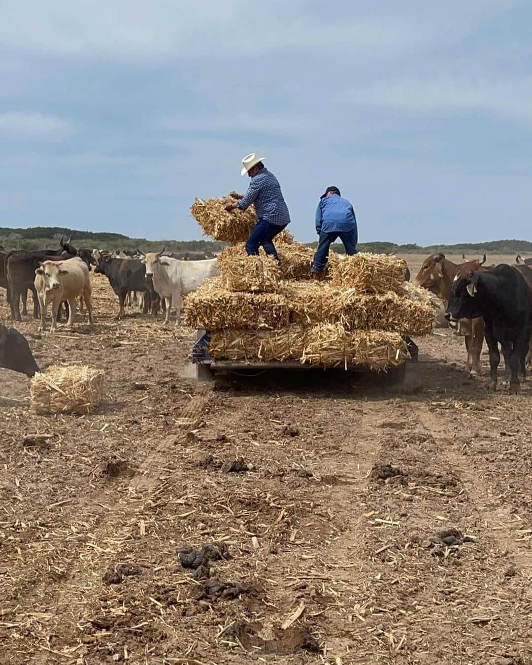 FAUSTINO HERNÁNDEZ REAFIRMA SU APOYO A LOS GANADEROS PARA ENFRENTAR LA SEQUÍA EN
