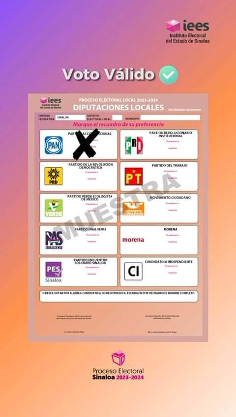 ¿CÓMO SABER SI MI VOTO ES VÁLIDO O NULO?