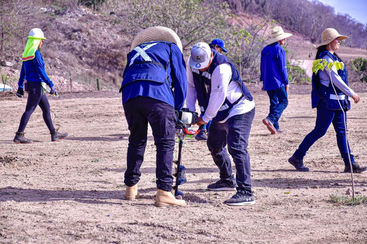 *350 árboles fueron plantados en conmemoración del Día Mundial del Medio Ambient